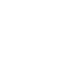 Elite BJJ Coaching